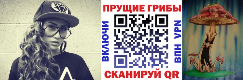Псилоцибиновые грибы GOLDEN TEACHER  сколько стоит  Починок 