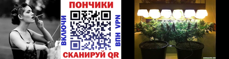 закладки  кракен маркетплейс  Марихуана ГИДРОПОН  Починок 